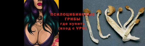 spice Армянск